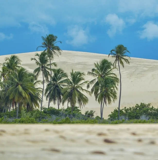 Paraíso Natural